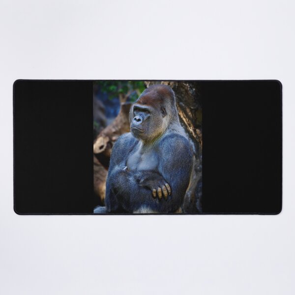 Item preview, Gorilla attitude designed and sold by Jouko Lehto Photography.