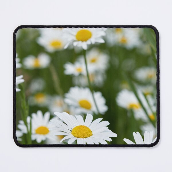 Item preview, Field of daisies. Ox-eye daisy23 designed and sold by Jouko Lehto Photography.