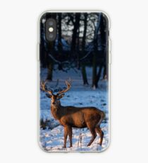 Stag in the snow iPhone Case