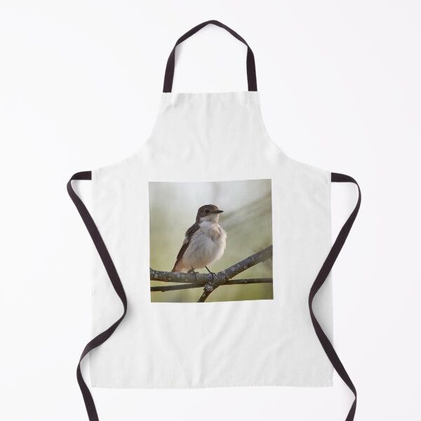 Item preview, Flies be aware. European pied flycatcher designed and sold by Jouko Lehto Photography.