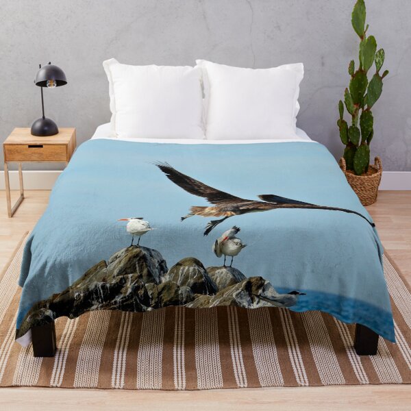 Item preview, Pelícano tomando vuelo designed and sold by franck380.