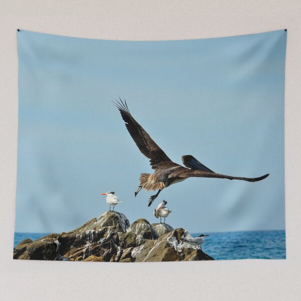 Item preview, Pelican taking flight designed and sold by franck380.