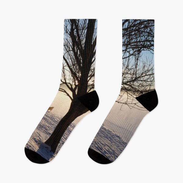 Item preview, Take the dog out honey. Tampere Arboretum designed and sold by Jouko Lehto Photography.