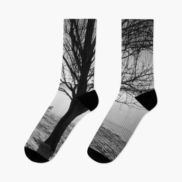 Item preview, Take the dog out honey. Tampere Arboretum bw designed and sold by Jouko Lehto Photography.