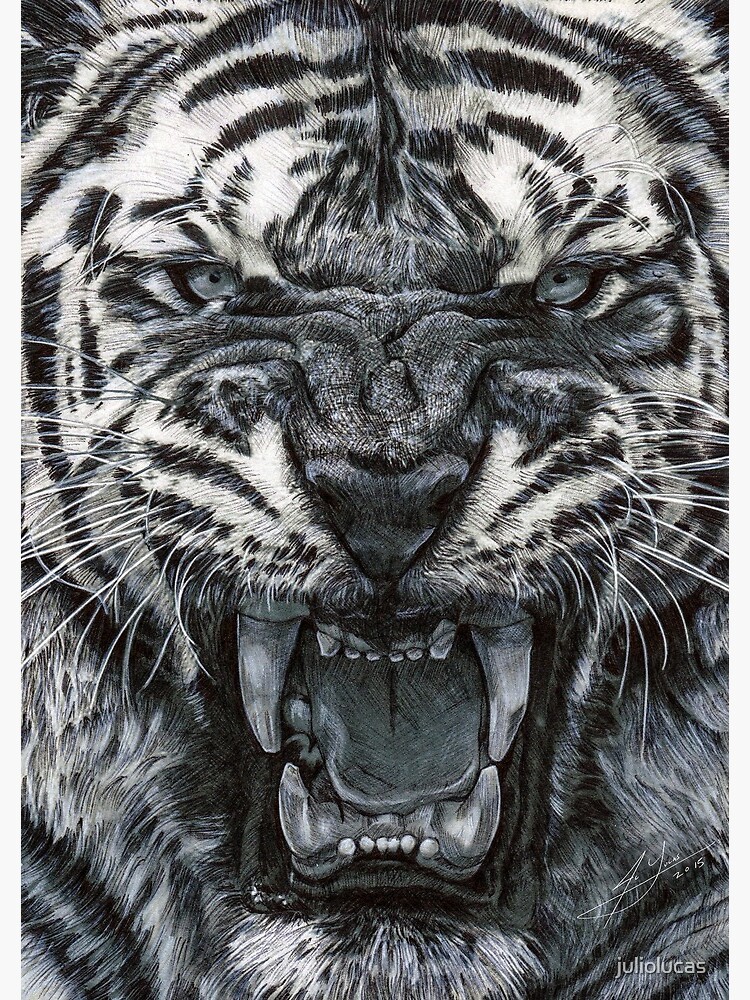 "Tiger Growl - Graphite Pencil Drawing " Spiral Notebook for Sale by