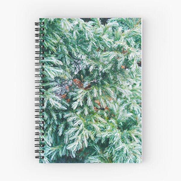 Item preview, Fir tree covered with drops of rain designed and sold by helenkaiy.