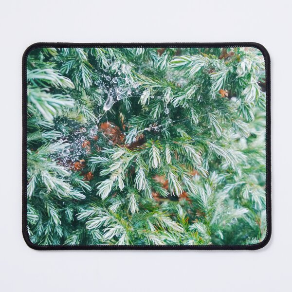 Item preview, Fir tree covered with drops of rain designed and sold by helenkaiy.