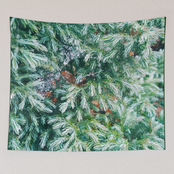 Item preview, Fir tree covered with drops of rain designed and sold by helenkaiy.
