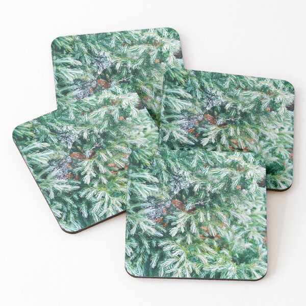 Item preview, Fir tree covered with drops of rain designed and sold by helenkaiy.
