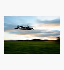 Mosquito Speed Photographic Print