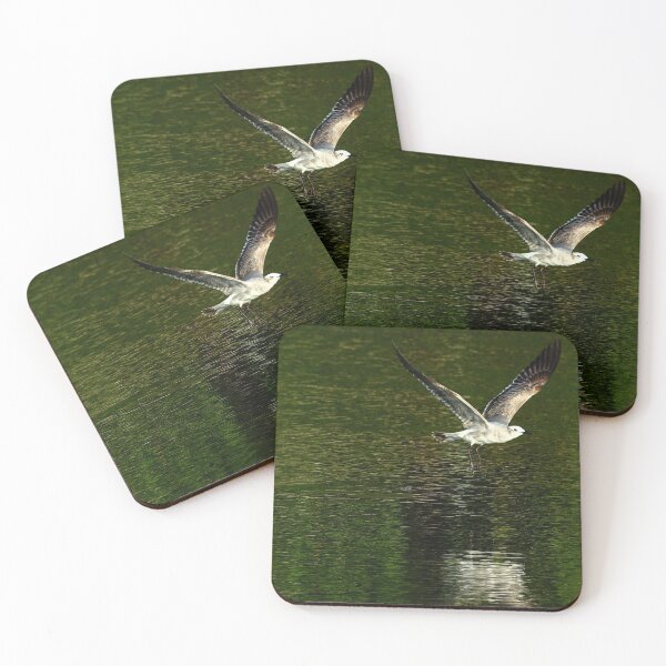 Item preview, Bird above water designed and sold by franck380.