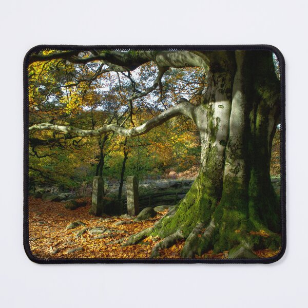 Item preview, Padley Gorge designed and sold by Alisonchambers2.