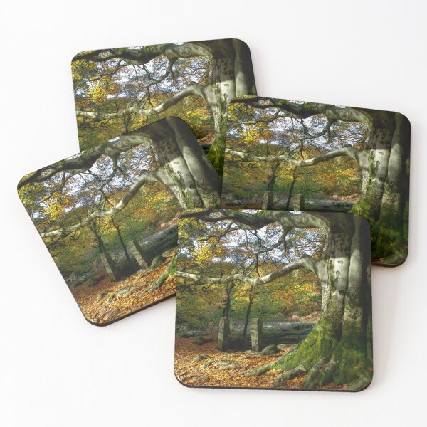 Item preview, Padley Gorge designed and sold by Alisonchambers2.