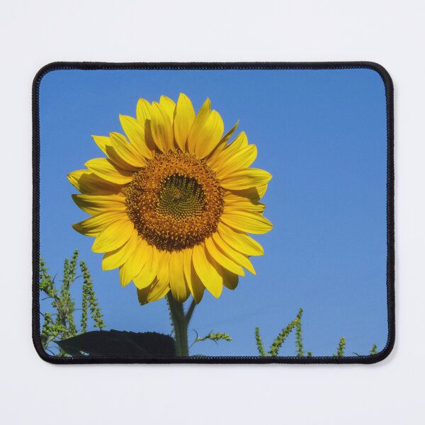 Item preview, Sunflower designed and sold by Irina777.