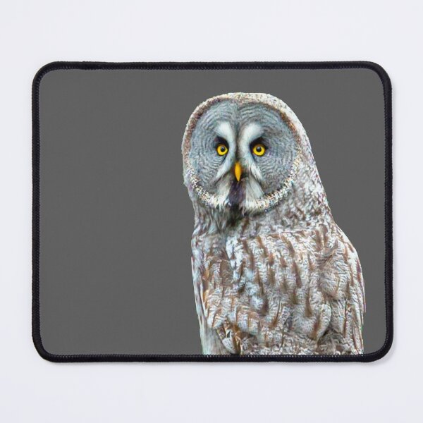 Item preview, Regal Great Grey Owl designed and sold by Dalyndigital Photography.