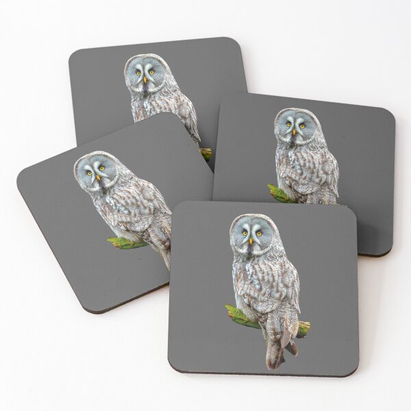 Item preview, Regal Great Grey Owl designed and sold by Dalyndigital Photography.