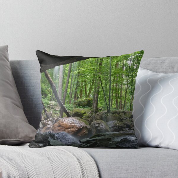 Item preview, Cave Behind Waterfall 2 designed and sold by Phil Perkins.