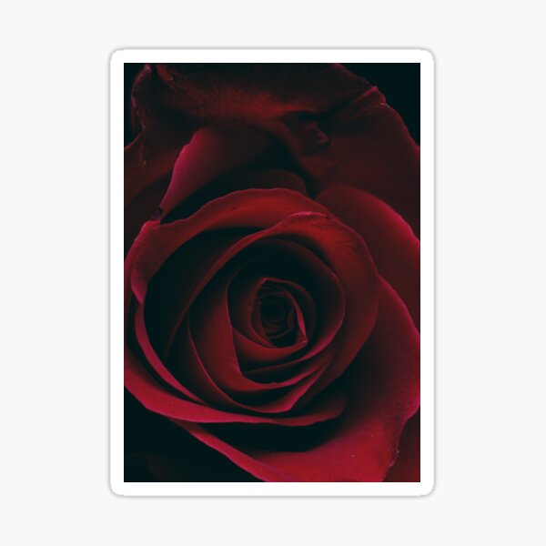Item preview, A rose for the loved one on Valentines day designed and sold by DanPerFashion.