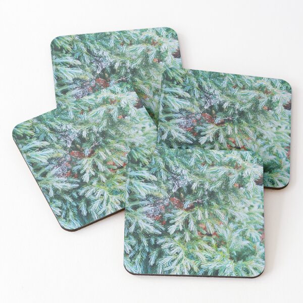 Item preview, Fir tree covered with drops of rain designed and sold by helenkaiy.