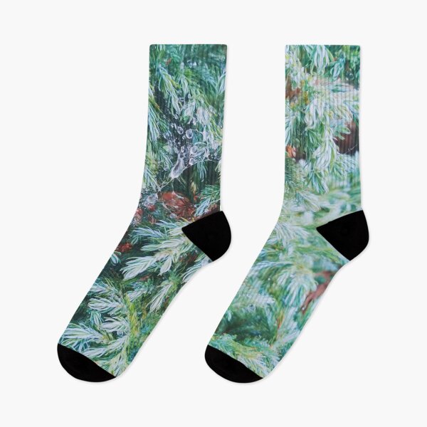 Item preview, Fir tree covered with drops of rain designed and sold by helenkaiy.