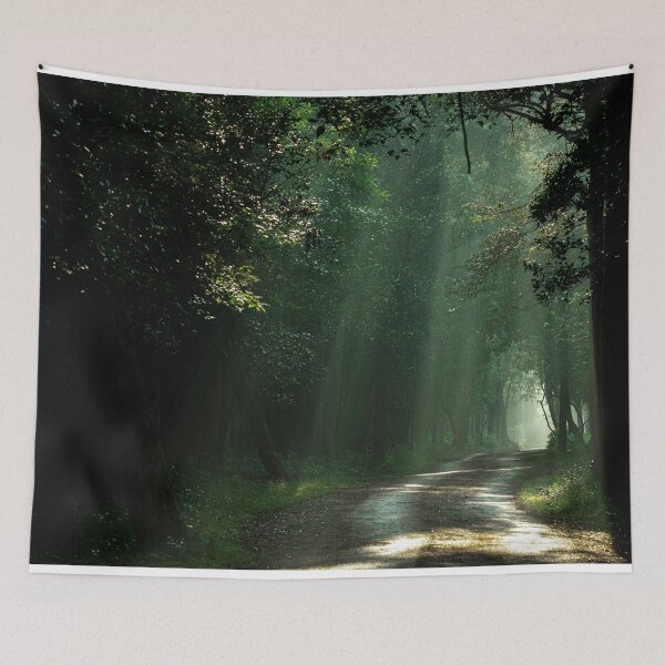 Item preview, Beautiful Morning in Forest designed and sold by HasinthaRed.