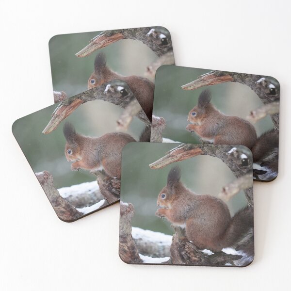 Item preview, From the left side. Red squirrel designed and sold by Jouko Lehto Photography.