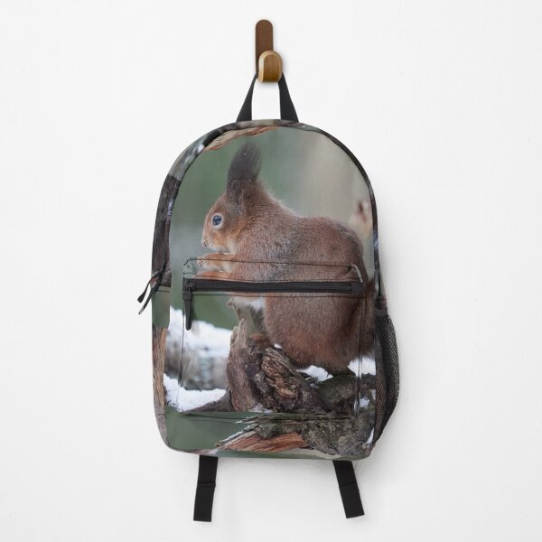 Item preview, From the left side. Red squirrel designed and sold by Jouko Lehto Photography.