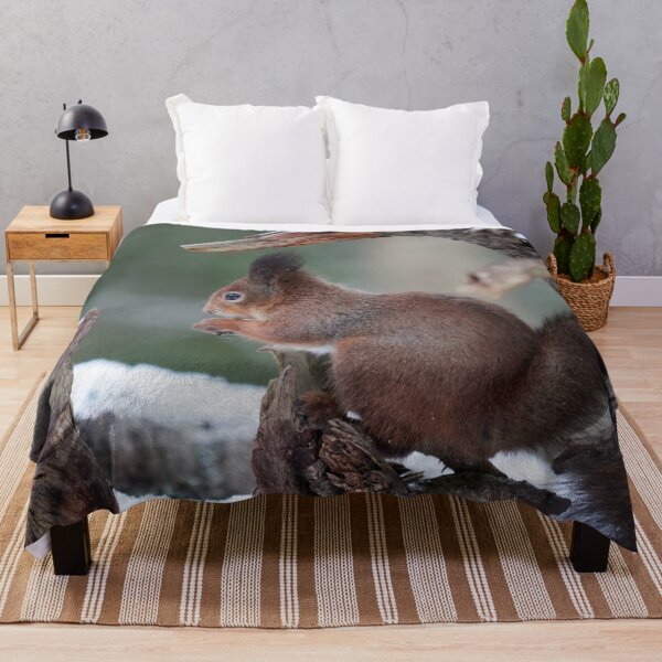 Item preview, From the left side. Red squirrel designed and sold by Jouko Lehto Photography.