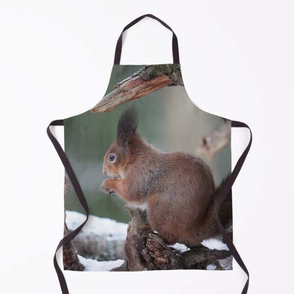 Item preview, From the left side. Red squirrel designed and sold by Jouko Lehto Photography.