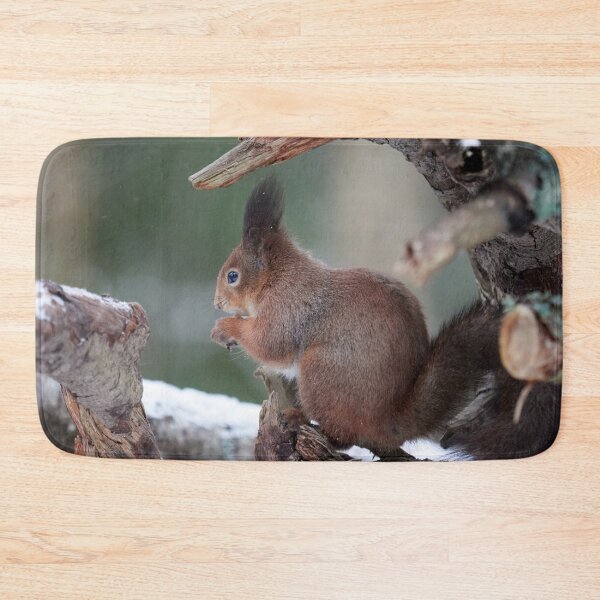 Item preview, From the left side. Red squirrel designed and sold by Jouko Lehto Photography.