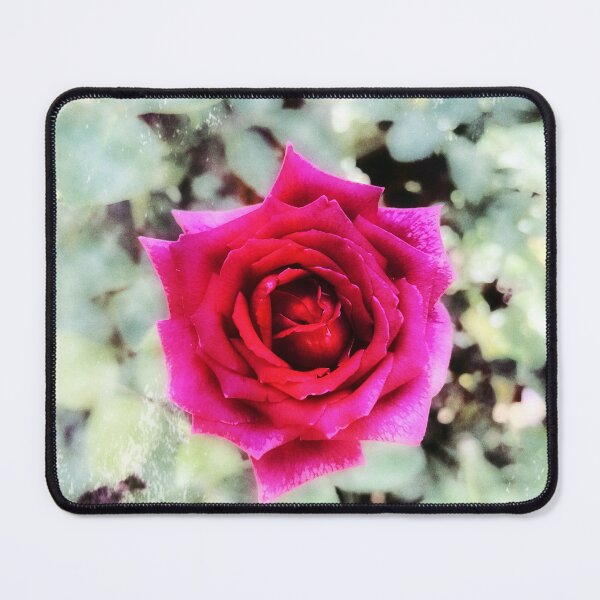 Item preview, Pink Rose designed and sold by WVimages.