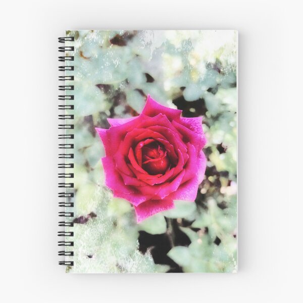 Item preview, Pink Rose designed and sold by WVimages.