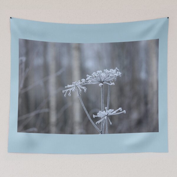 Item preview, Hoarfrost on Anthriscus sylvestris, Cow parsley  designed and sold by Taina Sohlman.