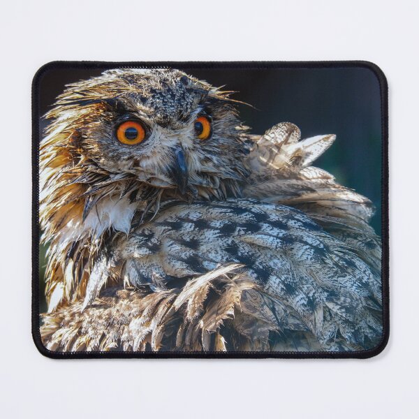 Item preview, Eurasian Eagle Owl designed and sold by Anna Fairley Nielsson.