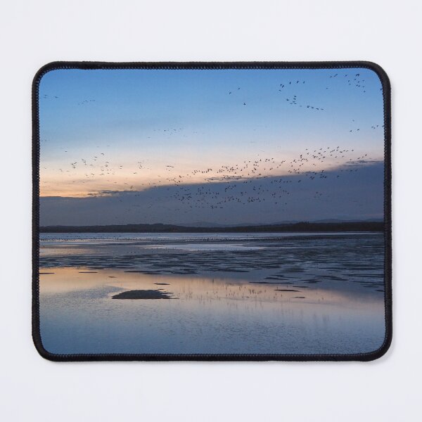 Item preview, Montrose Basin designed and sold by Anna Fairley Nielsson.
