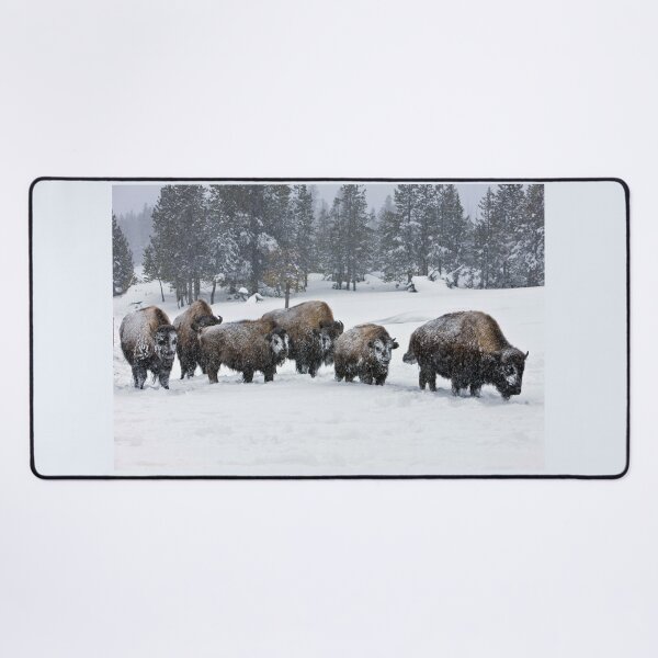Item preview, Buffalos in the snow designed and sold by KNBS.