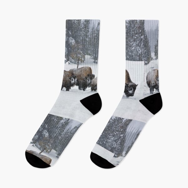 Item preview, Buffalos in the snow designed and sold by KNBS.