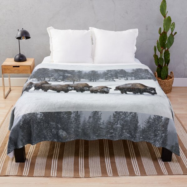 Item preview, Buffalos in the snow designed and sold by KNBS.