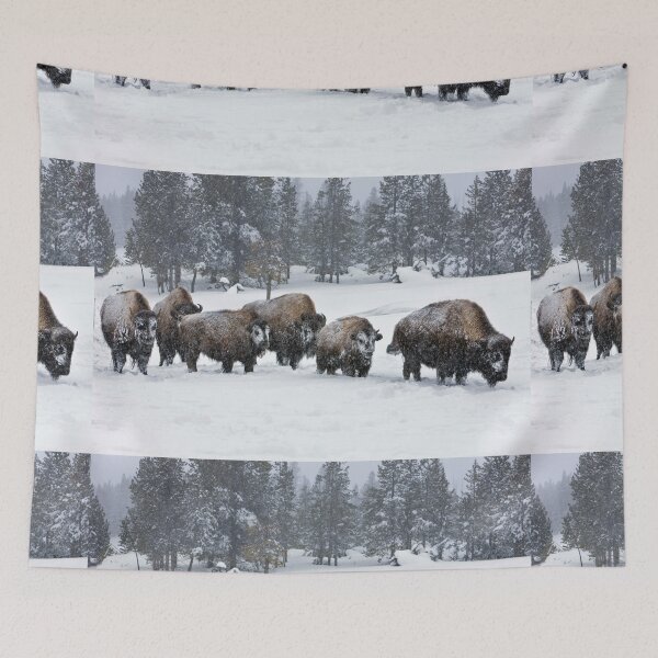Item preview, Buffalos in the snow designed and sold by KNBS.