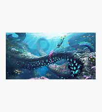 Subnautica Photographic Print