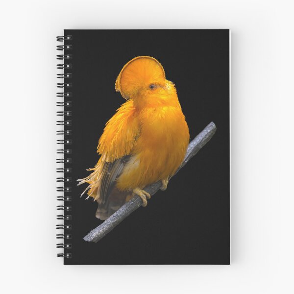 Item preview, Guianan cock-of-the-rock designed and sold by The Sleepy Monito.