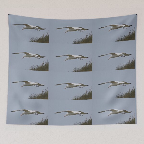 Item preview, Wandering Albatross Taking Off designed and sold by Carole-Anne.