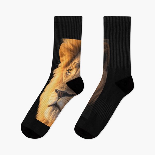 Aperçu de l'œuvre Un gros plan du visage d'un lion créée et vendue par AI-RDROP.