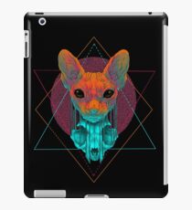 Reflections iPad Case/Skin