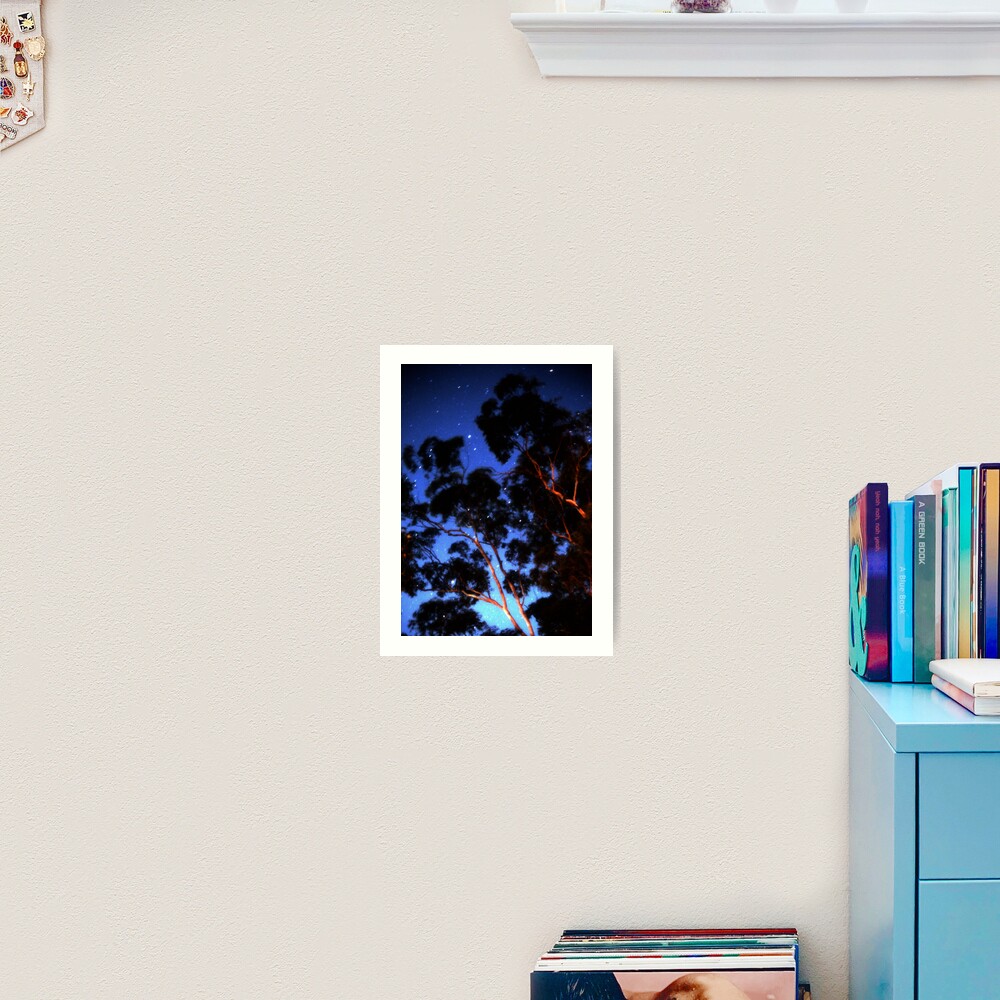 Star trails & eucalypts Art Print
