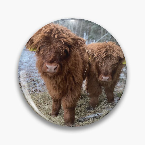 Artikelvorschau, Scottish Highland Cattle Calves 4187 entworfen und verkauft von SaarelaHighland.