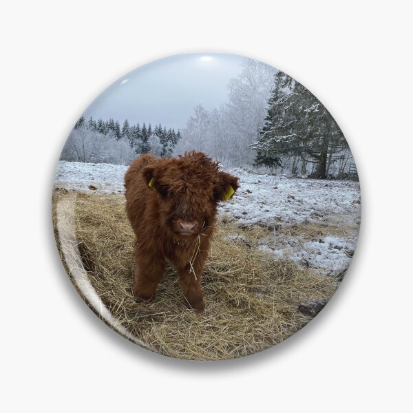 Item preview, Scottish Highland Cattle Calf 4188 designed and sold by SaarelaHighland.