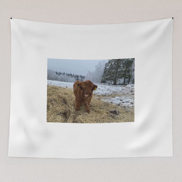Item preview, Scottish Highland Cattle Calf 4188 designed and sold by SaarelaHighland.
