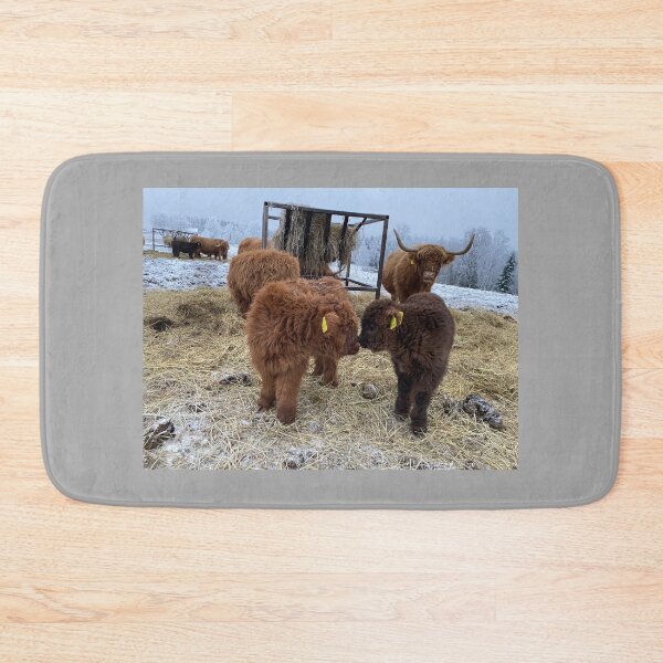 Item preview, Scottish Highland Cattle Calves 4189 designed and sold by SaarelaHighland.