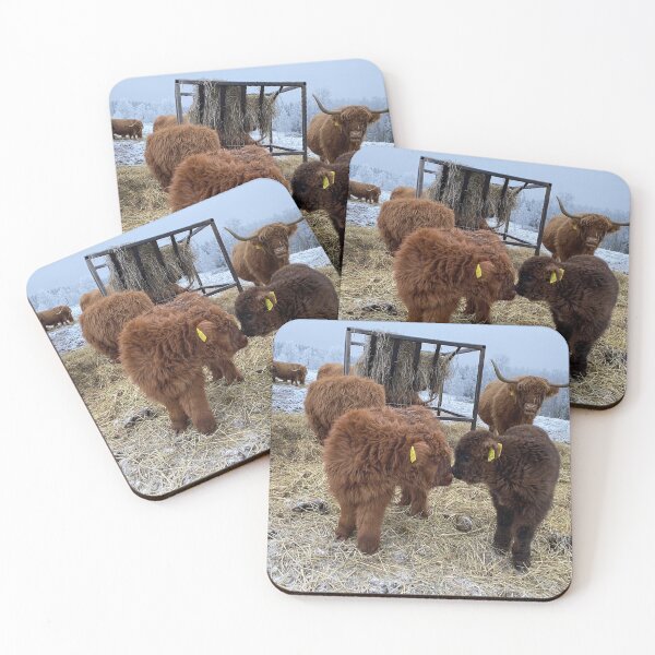 Item preview, Scottish Highland Cattle Calves 4189 designed and sold by SaarelaHighland.